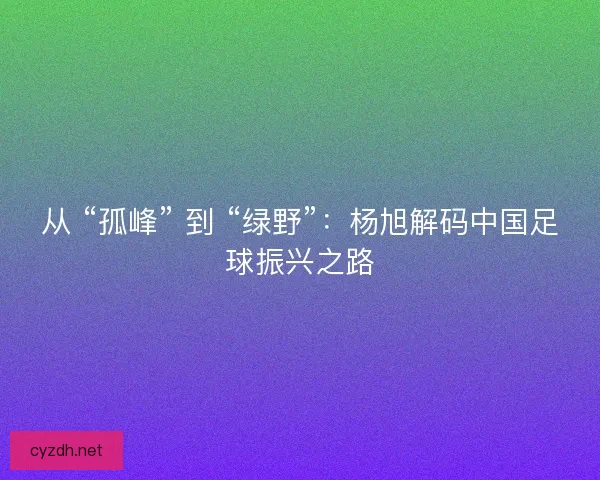 从 “孤峰” 到 “绿野”：杨旭解码中国足球振兴之路
