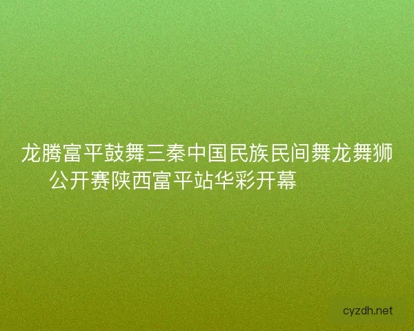 龙腾富平鼓舞三秦中国民族民间舞龙舞狮公开赛陕西富平站华彩开幕 🐉🥁🎉